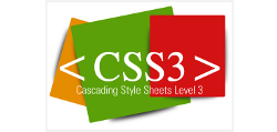 css3 logo