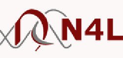 n4l logo
